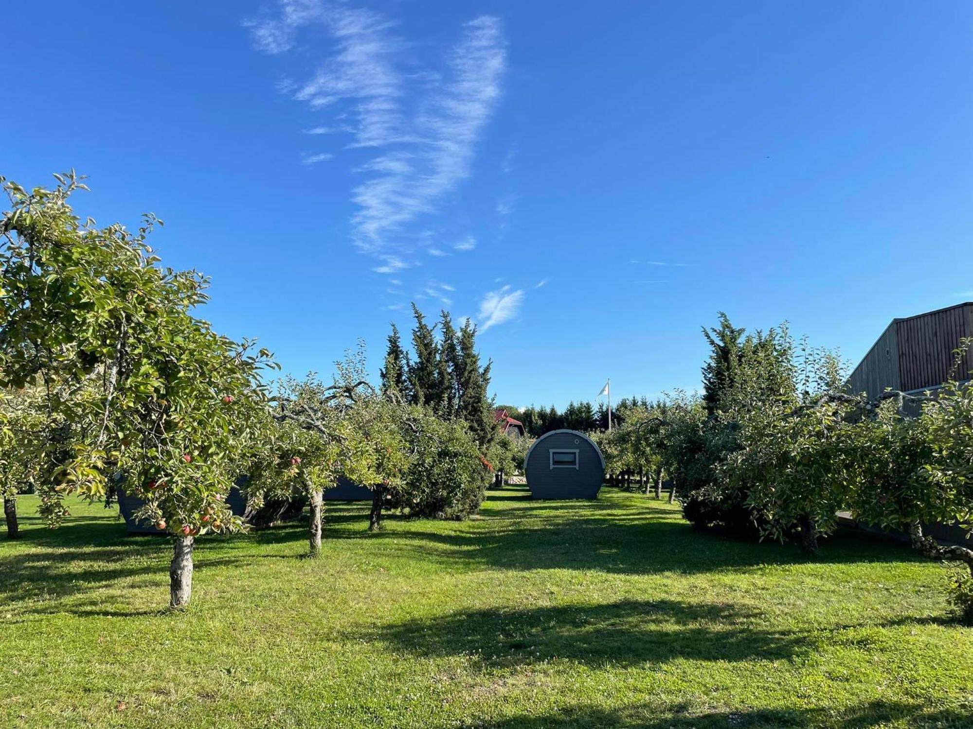 Vetsi Talli Holiday Village Kassari Екстериор снимка